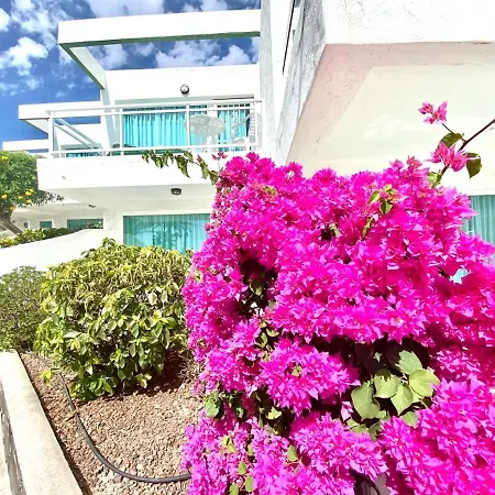 One Bedroom With Pool View In Playa Del Aguila, Apartmán San Agustín